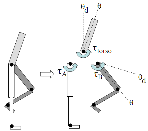 躯干控制关系图
